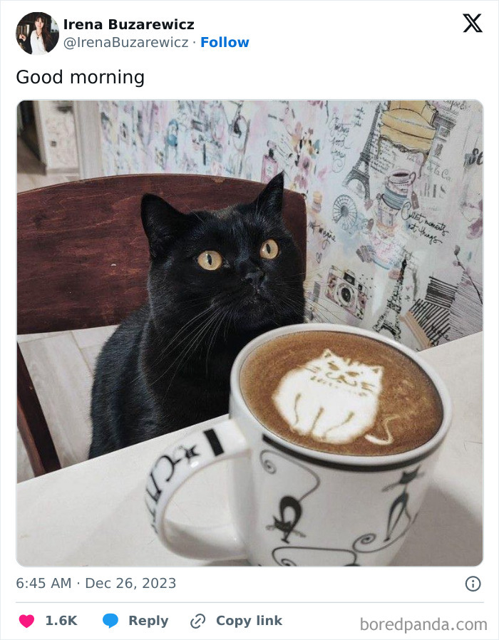 50 Times Latte Art Was So Impressive, It Looked Almost Too Good To Drink 50 Times Latte Art Was So Impressive, It Looked Almost Too Good To Drink