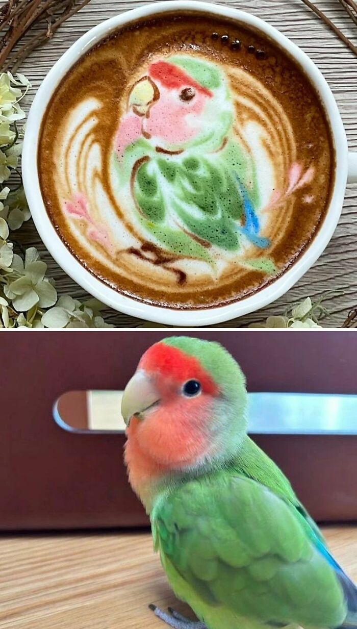 50 Times Latte Art Was So Impressive, It Looked Almost Too Good To Drink 50 Times Latte Art Was So Impressive, It Looked Almost Too Good To Drink
