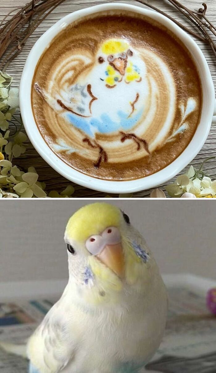 50 Times Latte Art Was So Impressive, It Looked Almost Too Good To Drink 50 Times Latte Art Was So Impressive, It Looked Almost Too Good To Drink