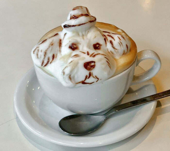 50 Times Latte Art Was So Impressive, It Looked Almost Too Good To Drink 50 Times Latte Art Was So Impressive, It Looked Almost Too Good To Drink