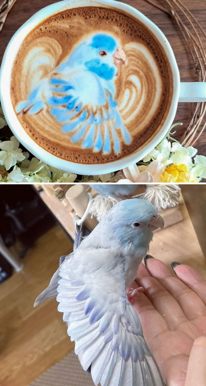 50 Times Latte Art Was So Impressive, It Looked Almost Too Good To Drink 50 Times Latte Art Was So Impressive, It Looked Almost Too Good To Drink