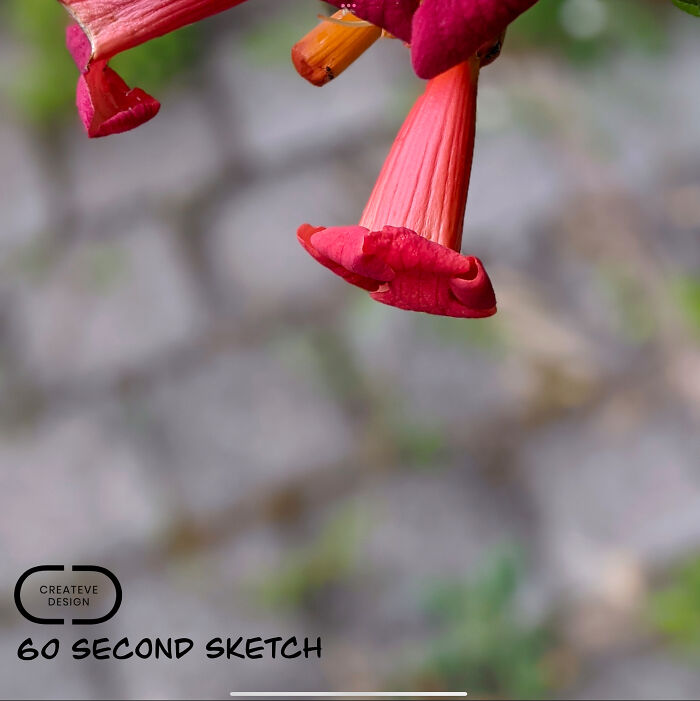 Where The Mundane Meets The Magical: Artist Transforms The Everyday Into The Extraordinary