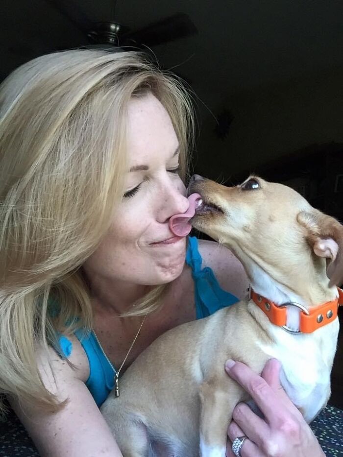 Meet Honey, The Service Dog Who’s Wee But Mighty Meet Honey, The Service Dog Who’s Wee But Mighty