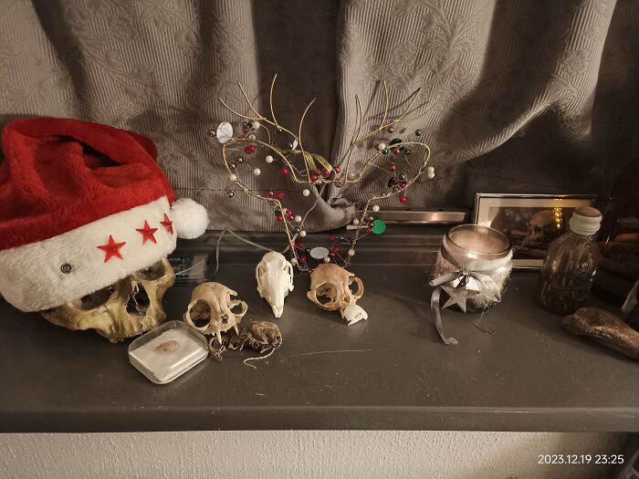 Hey Pandas, Post Your Favorite No-Context Picture! (Closed) Hey Pandas, Post Your Favorite No-Context Picture! (Closed)