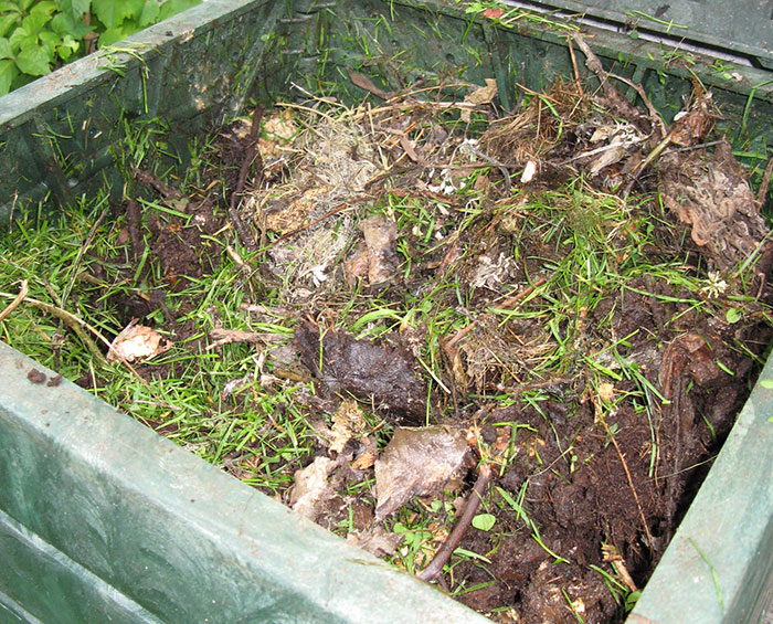 What Is Composting And How To Do It (In Simple Terms) What Is Composting And How To Do It (In Simple Terms)