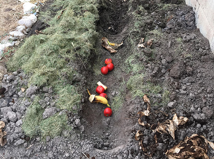 What Is Composting And How To Do It (In Simple Terms) What Is Composting And How To Do It (In Simple Terms)