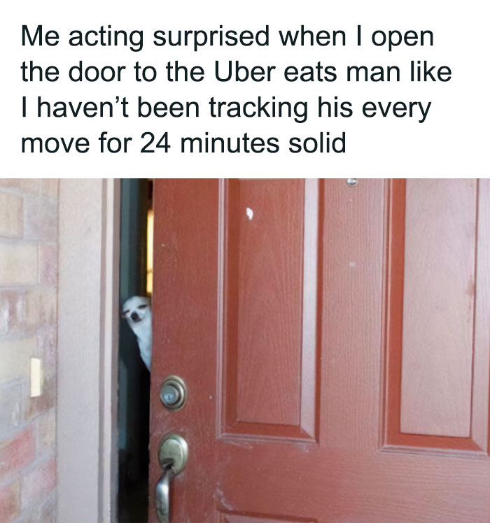 35 Funny And Relatable Memes To Help You Get Through One More Day Without A Nap