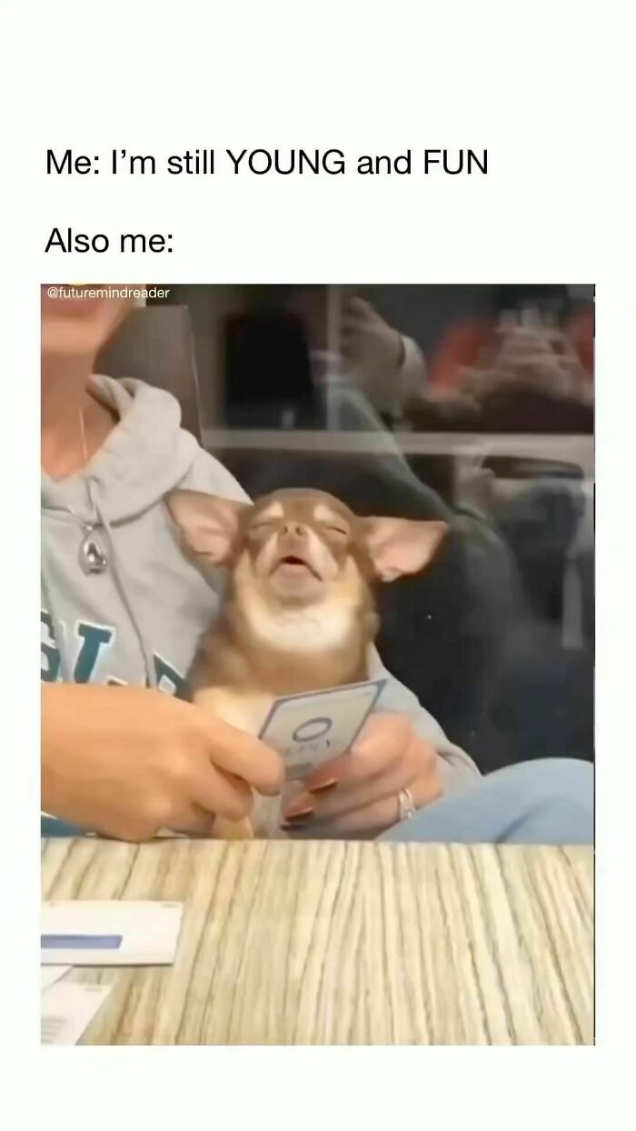 35 Funny And Relatable Memes To Help You Get Through One More Day Without A Nap