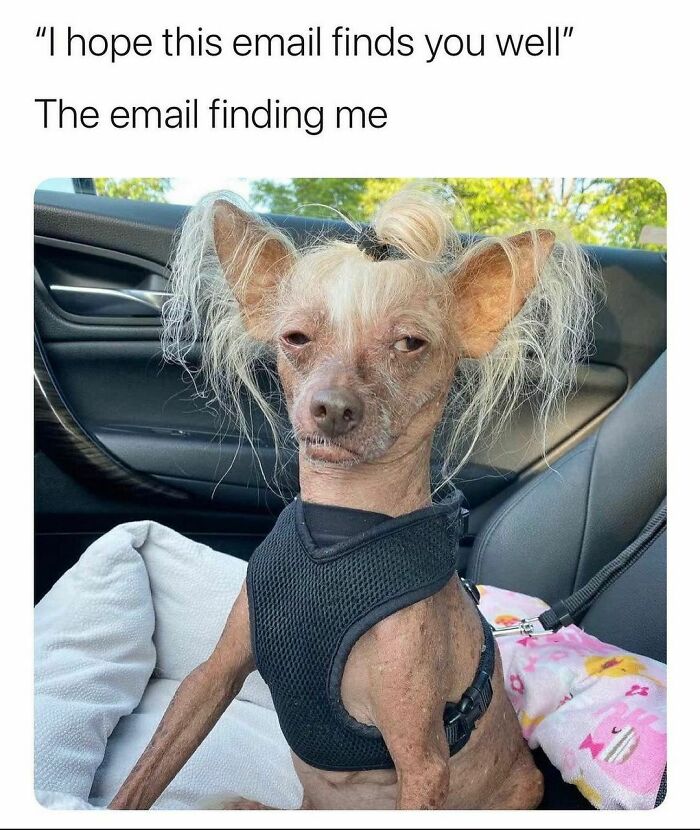 35 Funny And Relatable Memes To Help You Get Through One More Day Without A Nap 35 Funny And Relatable Memes To Help You Get Through One More Day Without A Nap