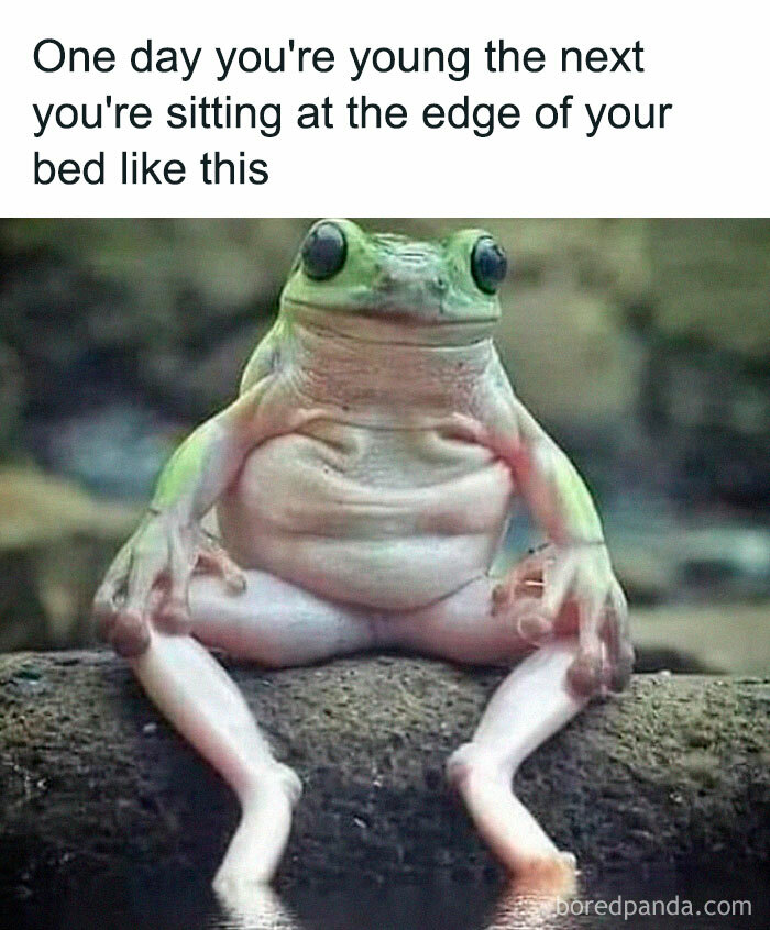 50 Of The Funniest Memes From This IG Account 50 Of The Funniest Memes From This IG Account