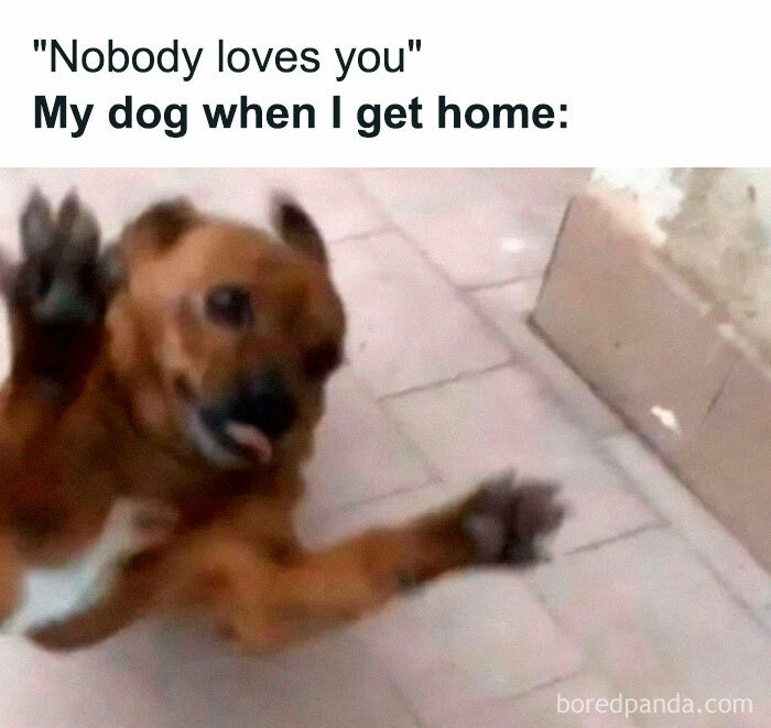 50 Of The Funniest Memes From This IG Account 50 Of The Funniest Memes From This IG Account