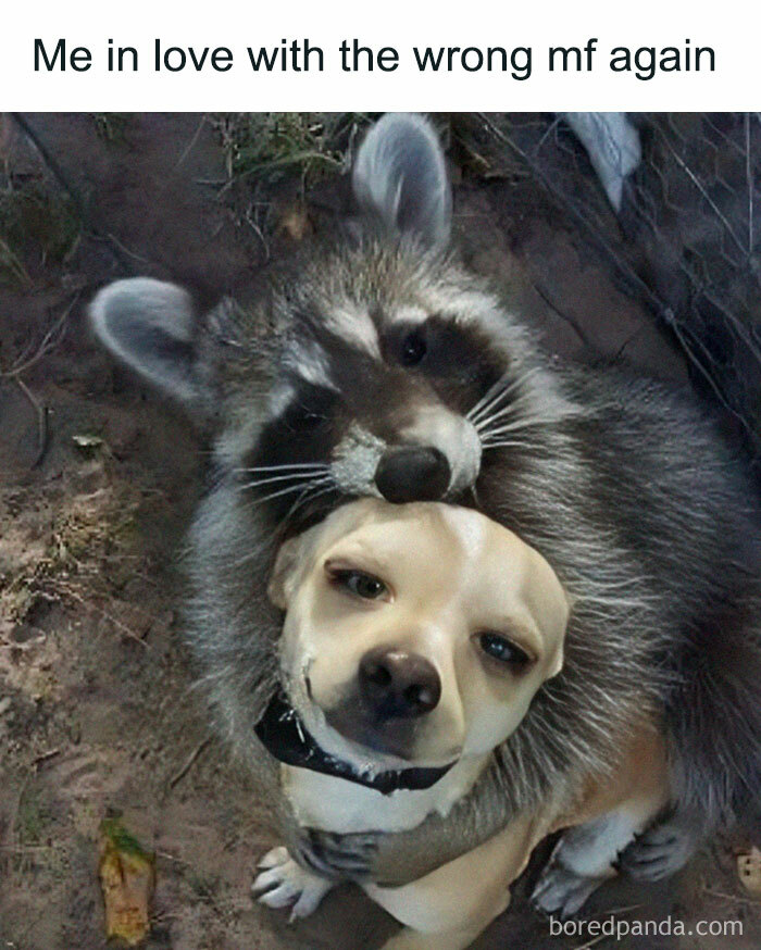 50 Of The Funniest Memes From This IG Account 50 Of The Funniest Memes From This IG Account