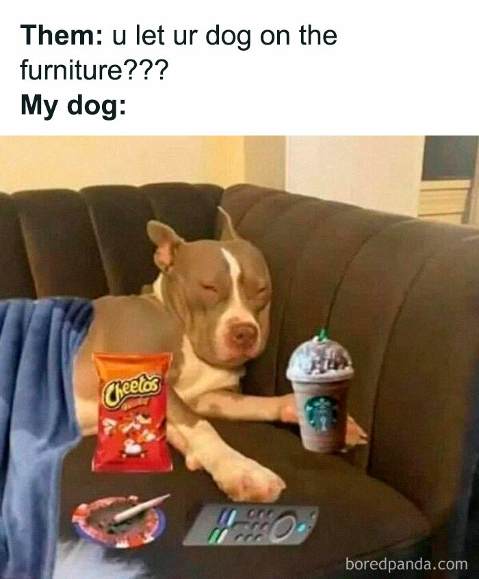 50 Of The Funniest Memes From This IG Account 50 Of The Funniest Memes From This IG Account