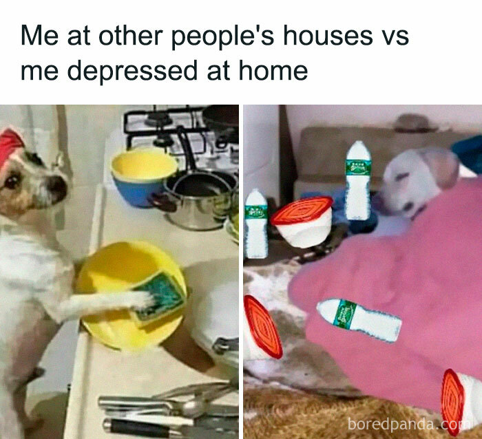 50 Of The Funniest Memes From This IG Account 50 Of The Funniest Memes From This IG Account