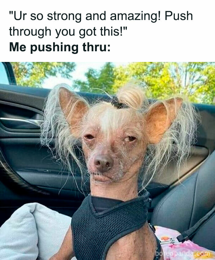 50 Of The Funniest Memes From This IG Account 50 Of The Funniest Memes From This IG Account