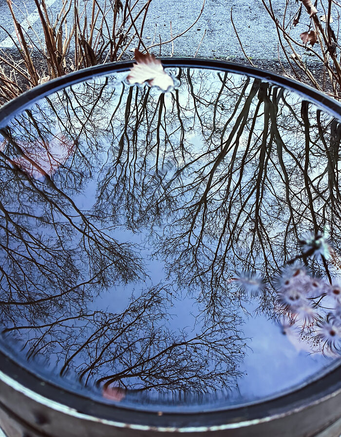 Hey Pandas, Share The Best Photos You Took In December (Closed)