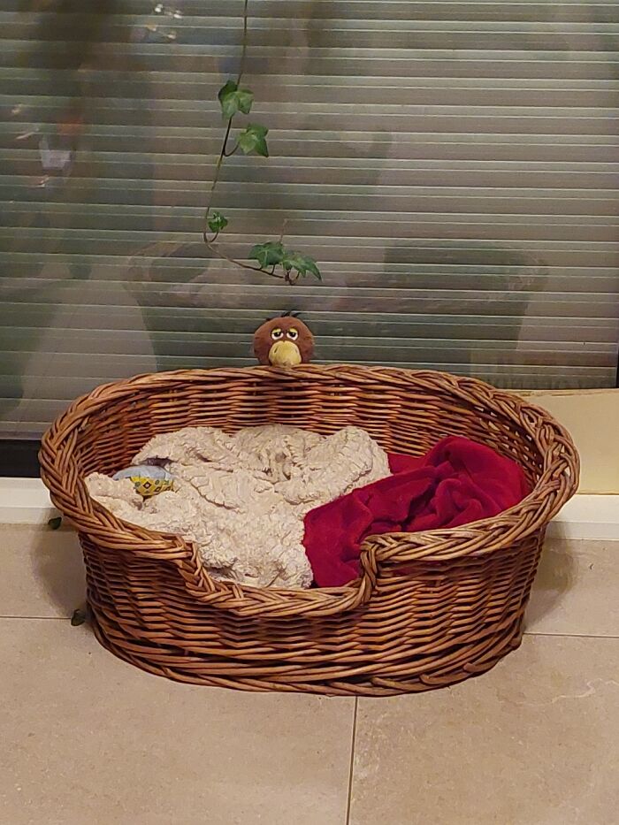 Hey Pandas, Share The Best Photos You Took In December (Closed)