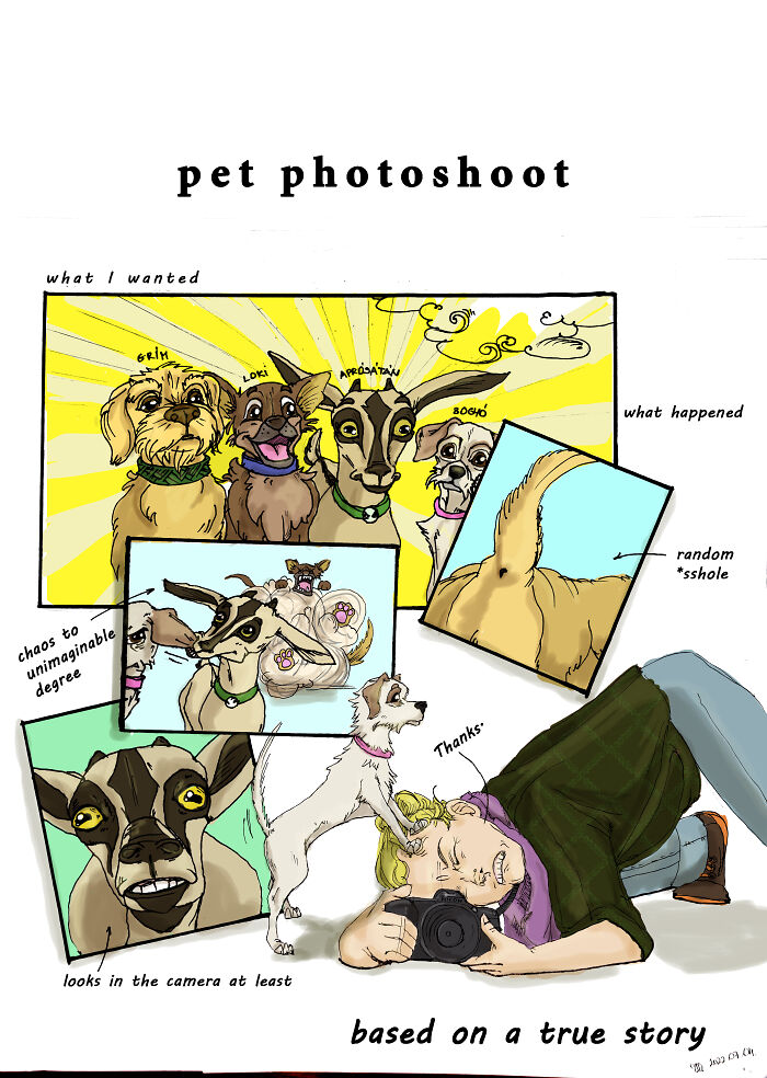 I Create Short Comics Based On My Life With My Pets (14 Pics) I Create Short Comics Based On My Life With My Pets (14 Pics)