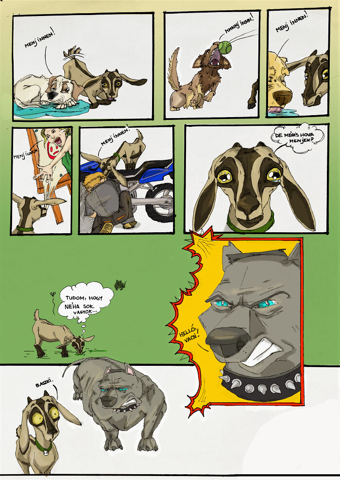 I Create Short Comics Based On My Life With My Pets (14 Pics) I Create Short Comics Based On My Life With My Pets (14 Pics)