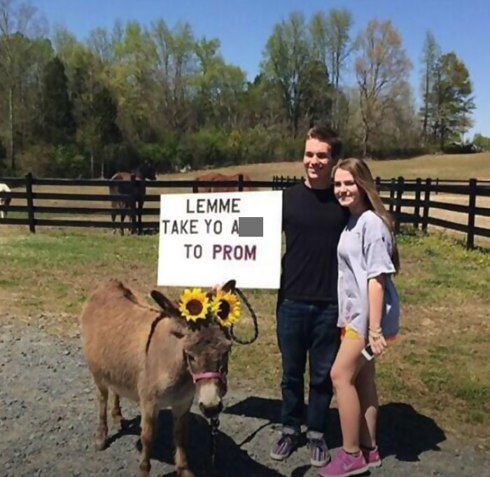 40 Chaotically Funny Signs Found In The Wild That Simply Had To Be Shared 40 Chaotically Funny Signs Found In The Wild That Simply Had To Be Shared