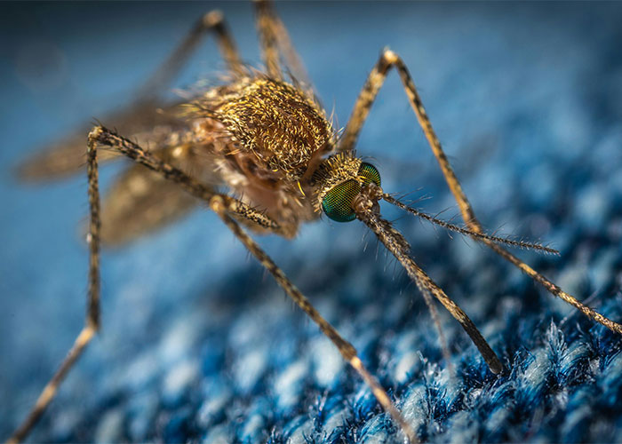 People Are Sharing Their Favorite Animal Facts That Never Cease To Amaze Them People Are Sharing Their Favorite Animal Facts That Never Cease To Amaze Them