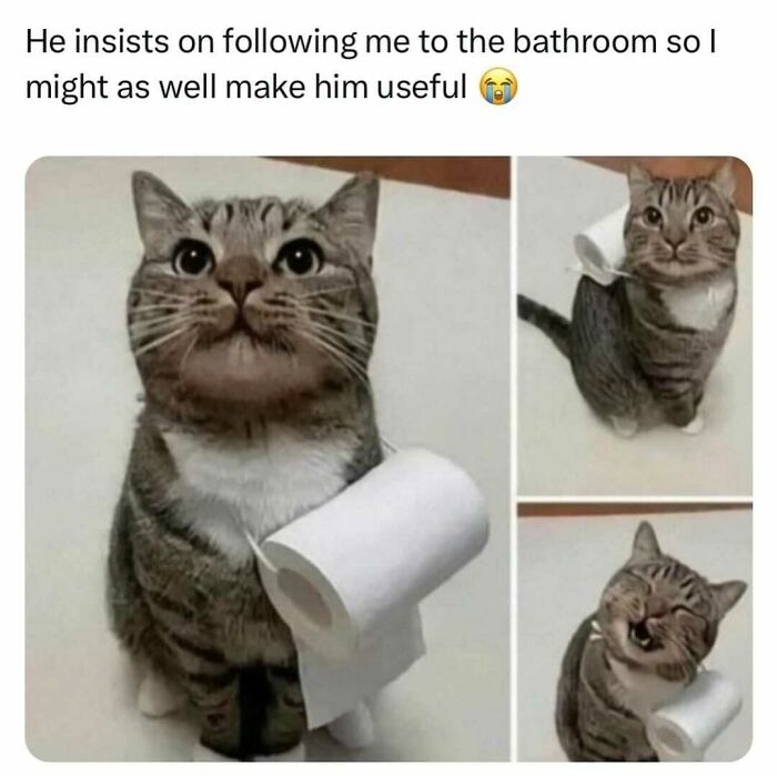 This Facebook Page Is All About Random Memes, Here Is A Selection Of The Funniest (50 Pics) This Facebook Page Is All About Random Memes, Here Is A Selection Of The Funniest (50 Pics)