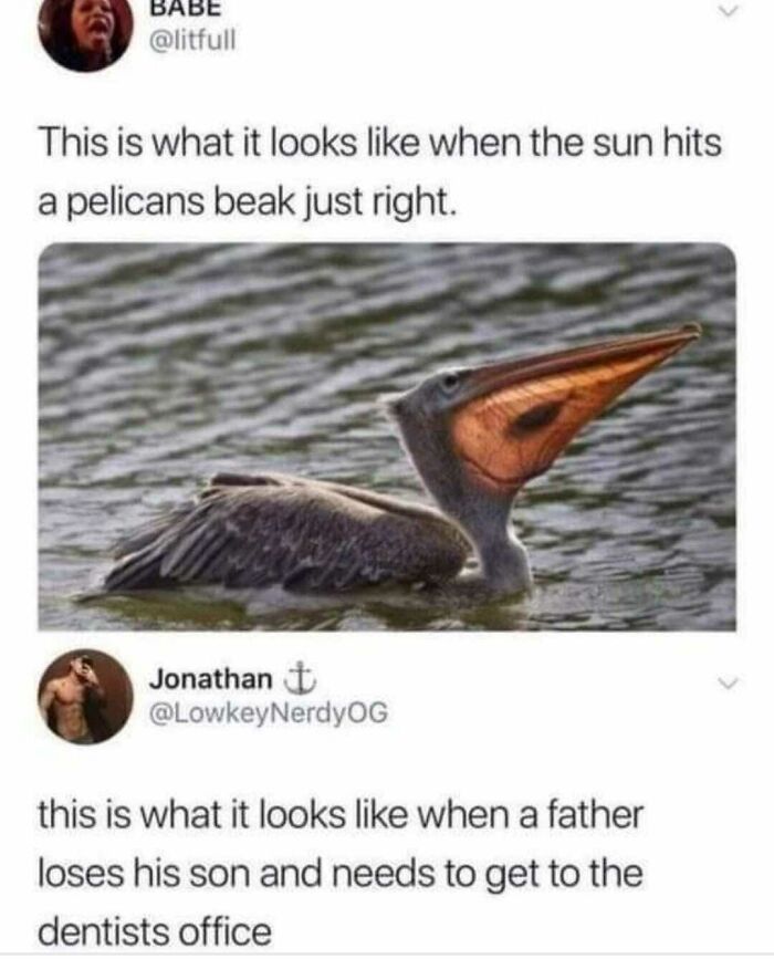 This Facebook Page Is All About Random Memes, Here Is A Selection Of The Funniest (50 Pics) This Facebook Page Is All About Random Memes, Here Is A Selection Of The Funniest (50 Pics)