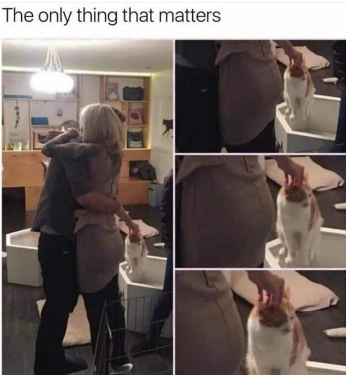 This Facebook Page Is All About Random Memes, Here Is A Selection Of The Funniest (50 Pics) This Facebook Page Is All About Random Memes, Here Is A Selection Of The Funniest (50 Pics)