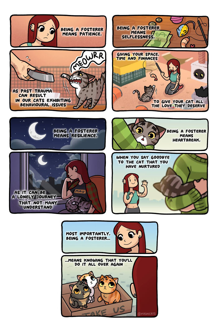 Artist Brings Awareness To Foster Care And Other Issues Through Cat Comics (35 Pics) Artist Brings Awareness To Foster Care And Other Issues Through Cat Comics (35 Pics)