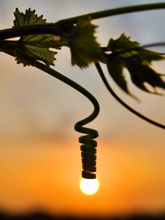 Golden Hour Gems: Aaditya Bhat’s Stunning Sunset Photo Stories (20 New Pics) Golden Hour Gems: Aaditya Bhat’s Stunning Sunset Photo Stories (20 New Pics)