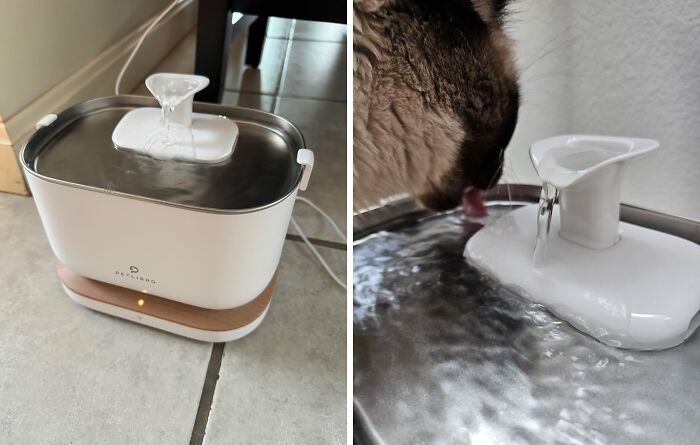 28 Pet Gadgets To Show Your Fur-baby Some Love 28 Pet Gadgets To Show Your Fur-baby Some Love