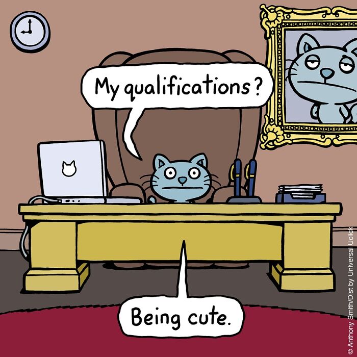 “Cattitude”: Artist Purrfectly Illustrates What Having A Cat Is Like (30 New One-Panel Comics)