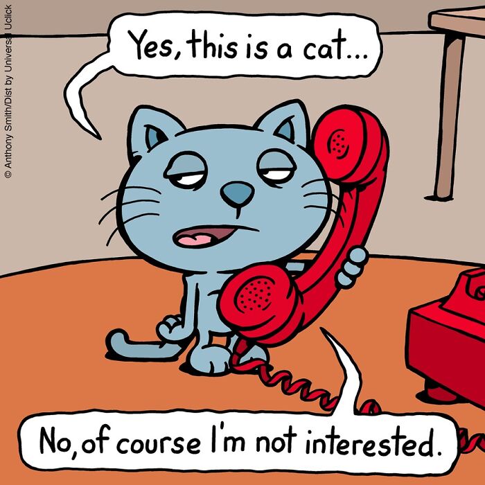 “Cattitude”: Artist Purrfectly Illustrates What Having A Cat Is Like (30 New One-Panel Comics)