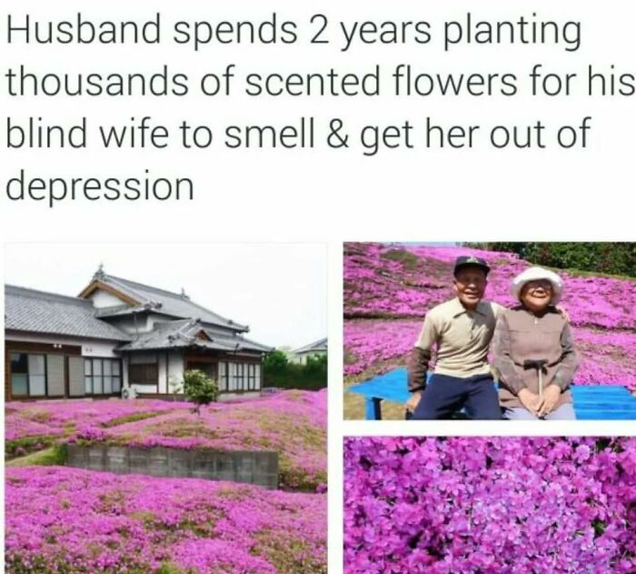 50 Positive And Uplifting Pics From The “Wholesome Meets The Internet” Page 50 Positive And Uplifting Pics From The “Wholesome Meets The Internet” Page