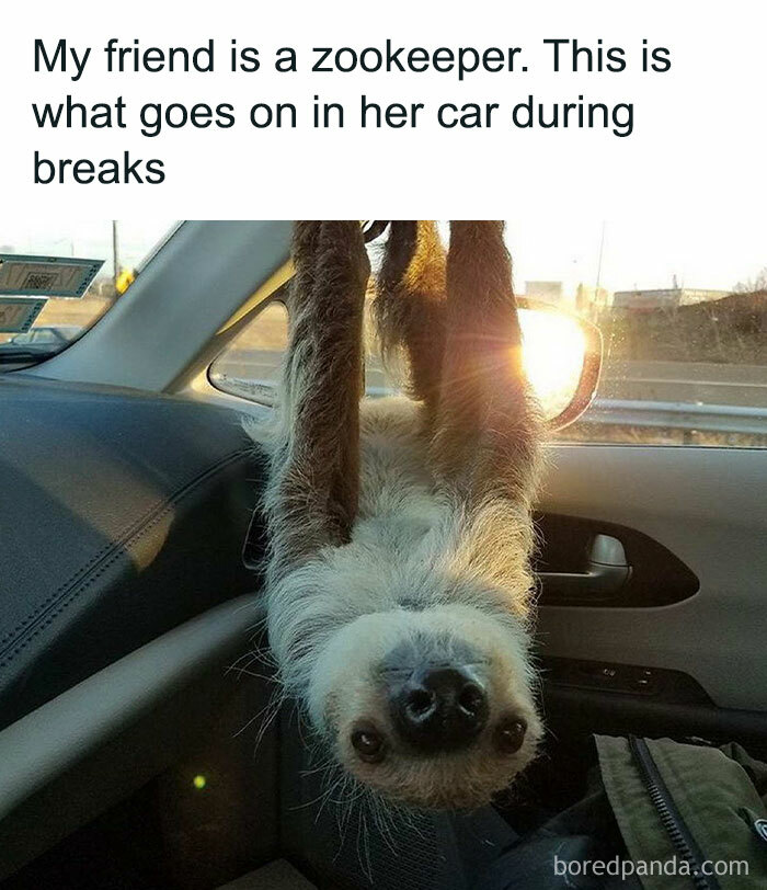 50 Positive And Uplifting Pics From The “Wholesome Meets The Internet” Page 50 Positive And Uplifting Pics From The “Wholesome Meets The Internet” Page