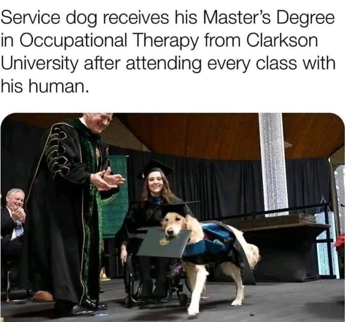 50 Positive And Uplifting Pics From The “Wholesome Meets The Internet” Page 50 Positive And Uplifting Pics From The “Wholesome Meets The Internet” Page