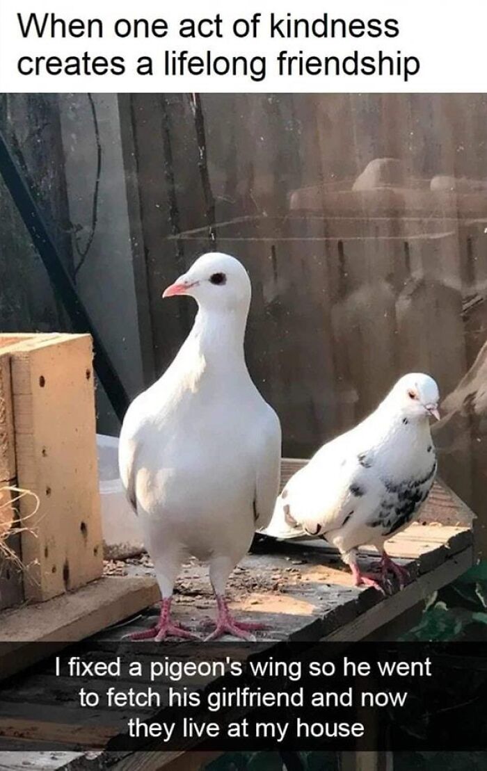 50 Positive And Uplifting Pics From The “Wholesome Meets The Internet” Page 50 Positive And Uplifting Pics From The “Wholesome Meets The Internet” Page