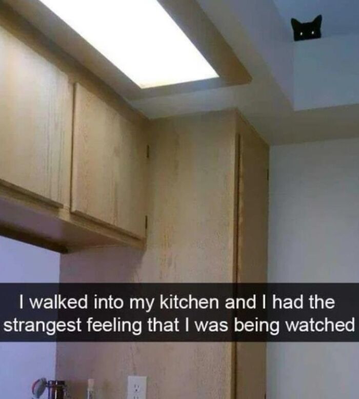 50 Positive And Uplifting Pics From The “Wholesome Meets The Internet” Page 50 Positive And Uplifting Pics From The “Wholesome Meets The Internet” Page