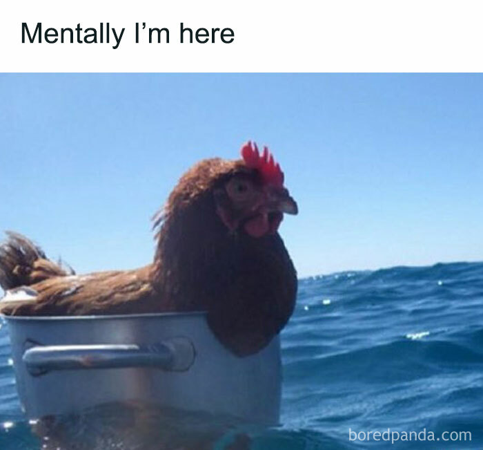 30 Memes That Introverts Might Recognize Themselves In, Shared By This IG Account 30 Memes That Introverts Might Recognize Themselves In, Shared By This IG Account