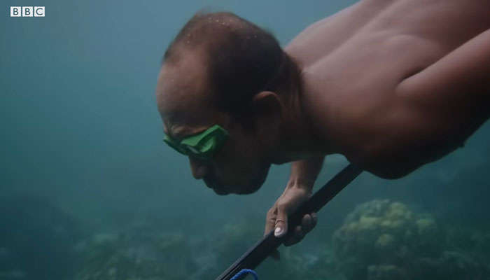 Bajau People Can Hold Their Breath For 13 Minutes Underwater Thanks To Rare Gene