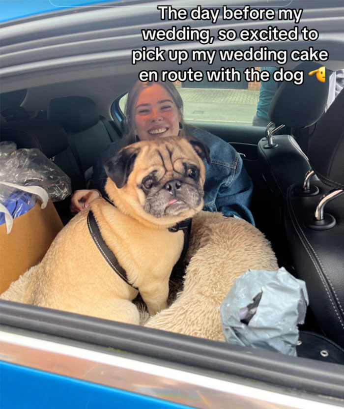 “Cue The Crying”: Bride Tears Up After Receiving Ruined Wedding Cake, Fixes It Herself “Cue The Crying”: Bride Tears Up After Receiving Ruined Wedding Cake, Fixes It Herself