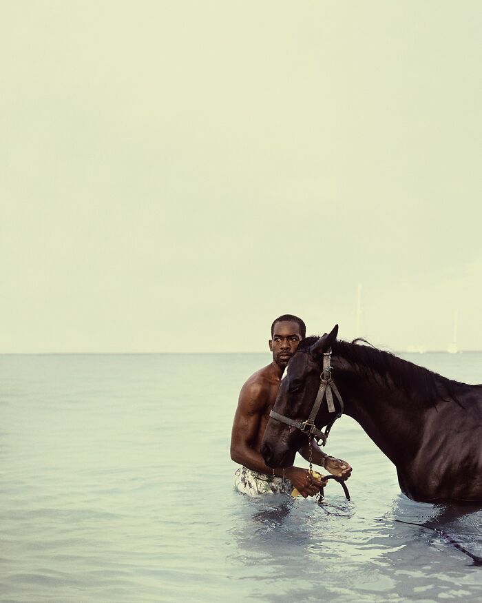 30 Captivating Winning Images Of This Year&#8217;s 1839 Awards