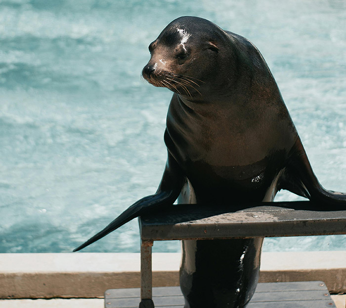 &ldquo;My Personality Changed&rdquo;: 35 Huge Mistakes People Made That They Sincerely Regret