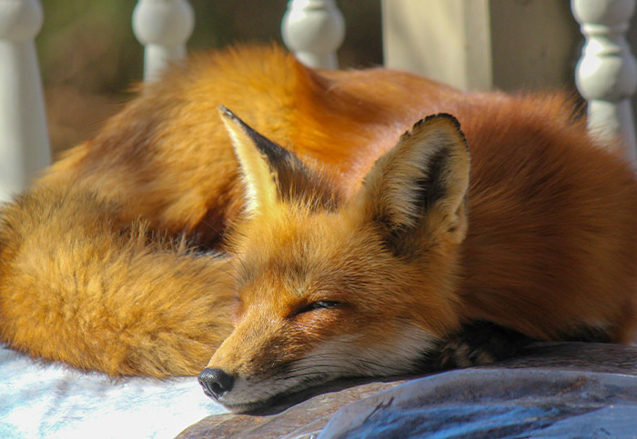 &ldquo;My Personality Changed&rdquo;: 35 Huge Mistakes People Made That They Sincerely Regret