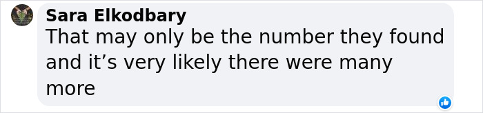 New DNA Evidence Sheds Light On How The Maya Chose Victims For Human Sacrifices New DNA Evidence Sheds Light On How The Maya Chose Victims For Human Sacrifices