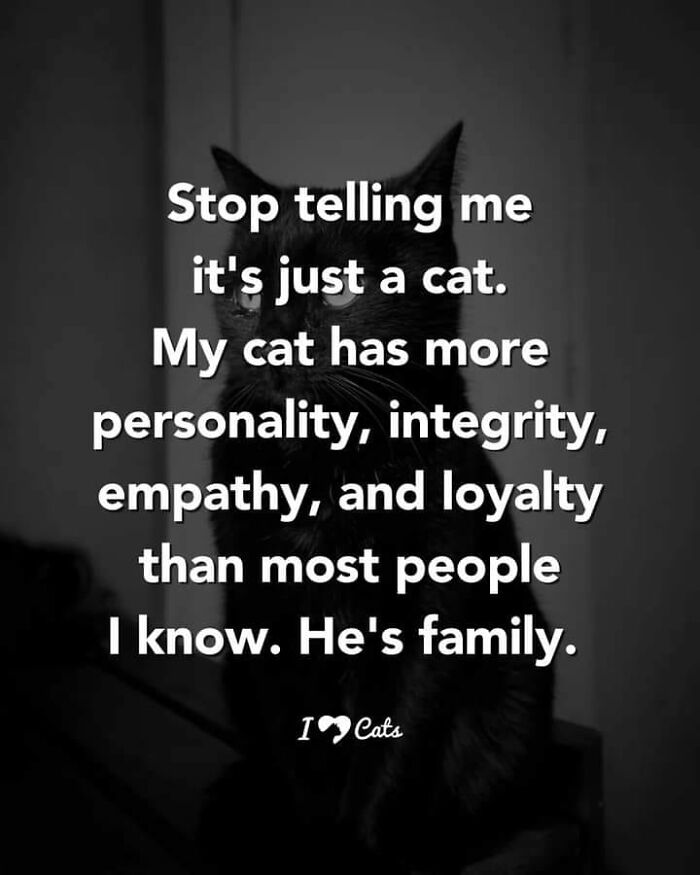 Feel-Good Animal Memes: 50 Reasons To Smile Today Feel-Good Animal Memes: 50 Reasons To Smile Today