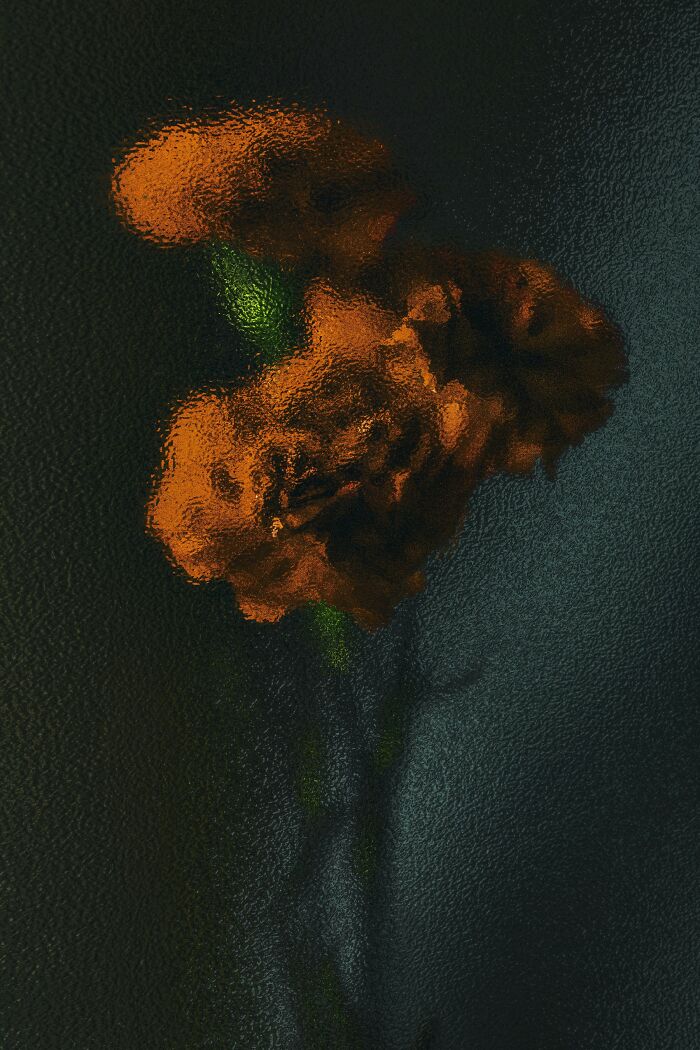 My 11 Photos Capturing The Essence Of Stillness My 11 Photos Capturing The Essence Of Stillness