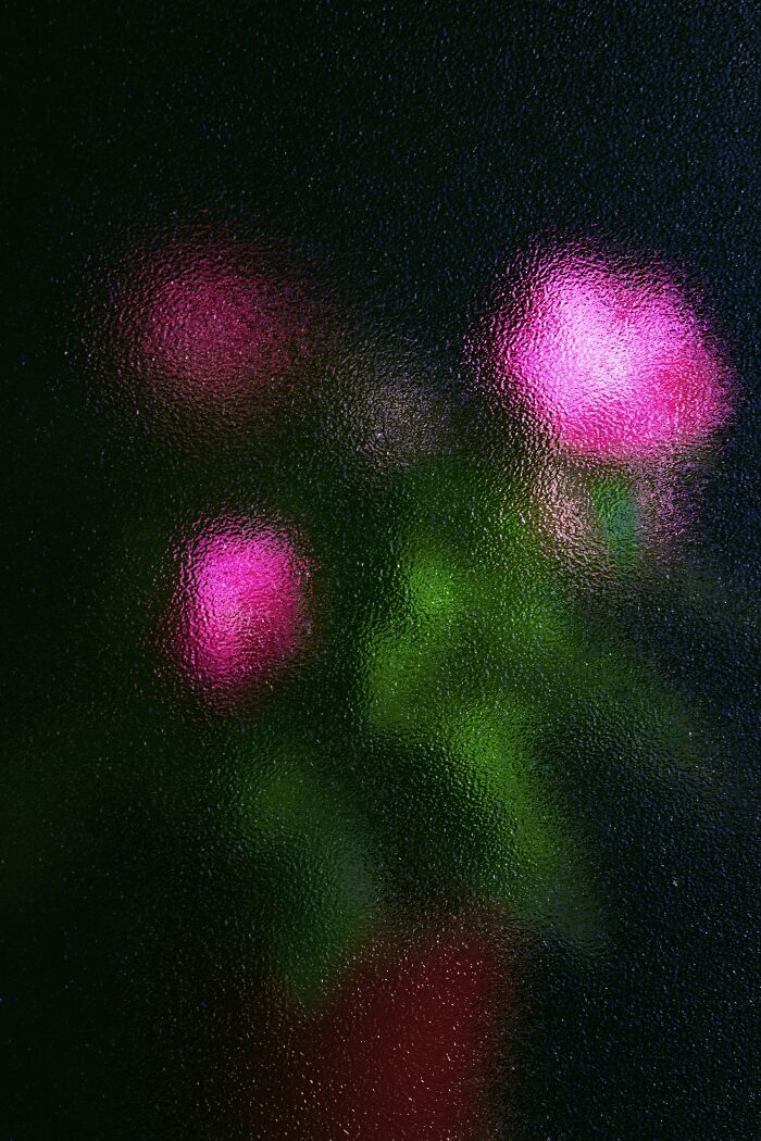 My 11 Photos Capturing The Essence Of Stillness My 11 Photos Capturing The Essence Of Stillness