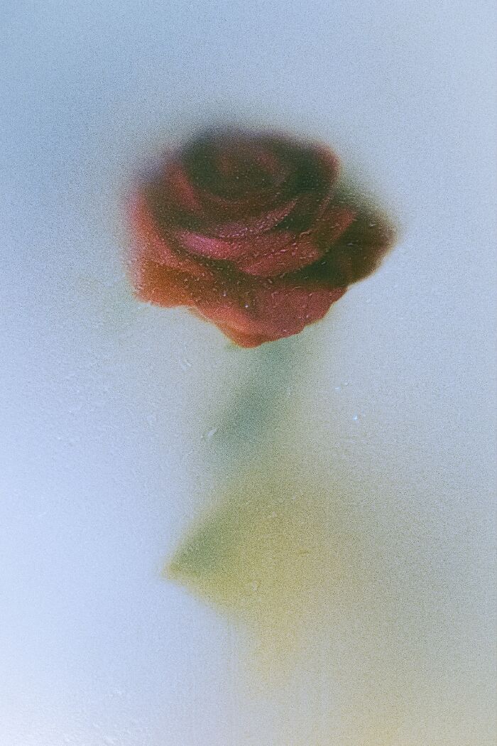 My 11 Photos Capturing The Essence Of Stillness My 11 Photos Capturing The Essence Of Stillness