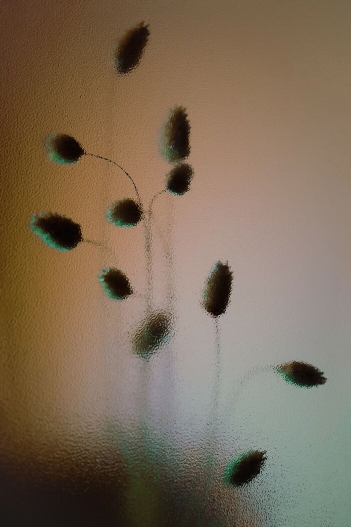 My 11 Photos Capturing The Essence Of Stillness My 11 Photos Capturing The Essence Of Stillness